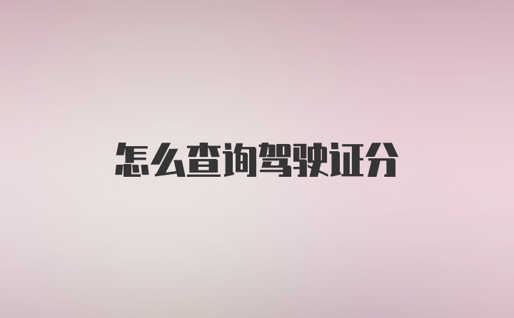 怎么查询驾驶证分