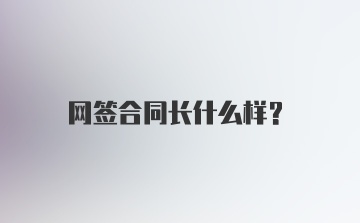 网签合同长什么样？