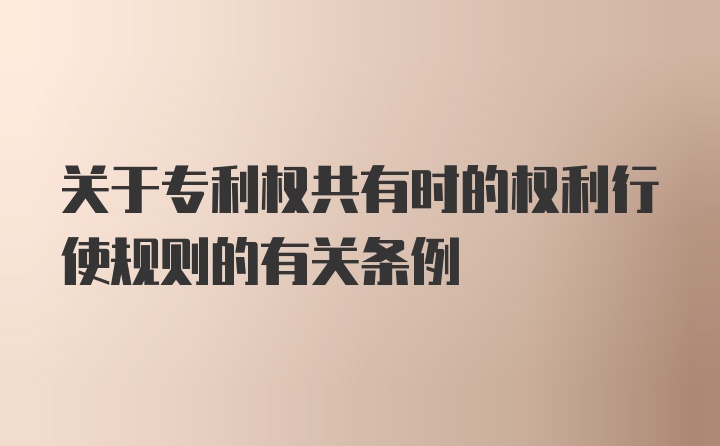 关于专利权共有时的权利行使规则的有关条例