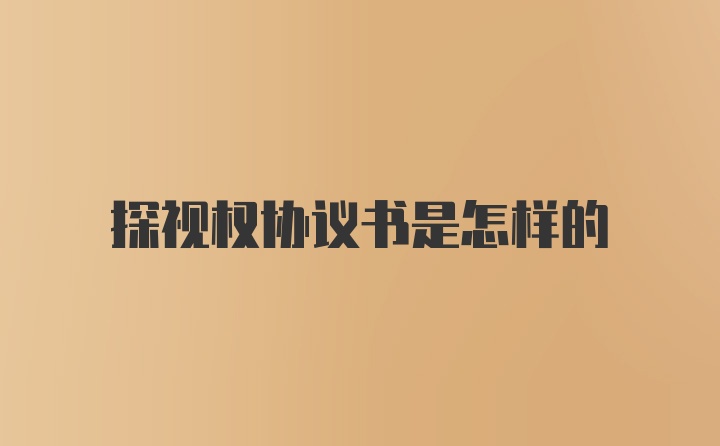 探视权协议书是怎样的