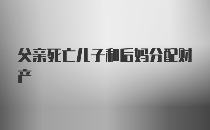 父亲死亡儿子和后妈分配财产