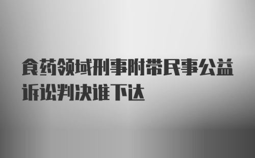 食药领域刑事附带民事公益诉讼判决谁下达