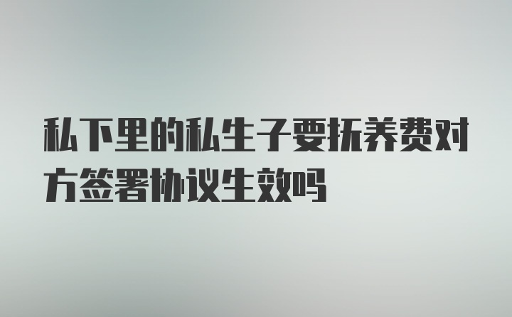 私下里的私生子要抚养费对方签署协议生效吗