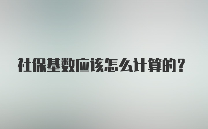 社保基数应该怎么计算的？
