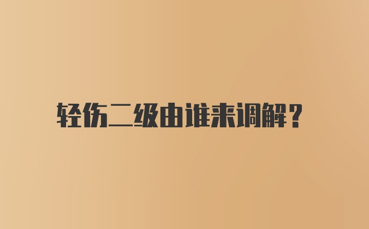 轻伤二级由谁来调解？