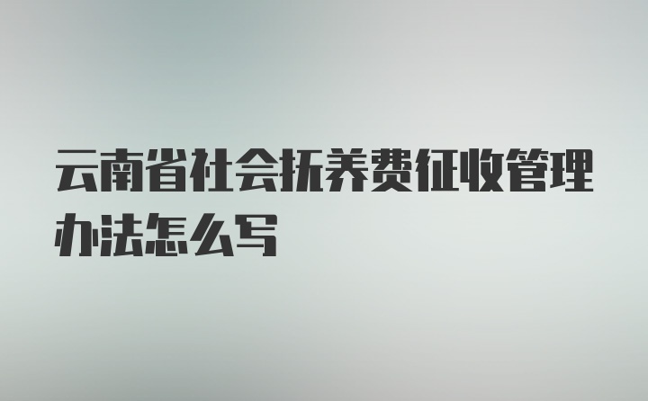 云南省社会抚养费征收管理办法怎么写