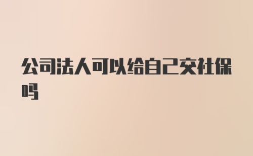 公司法人可以给自己交社保吗