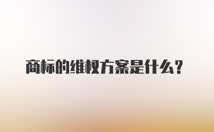 商标的维权方案是什么？