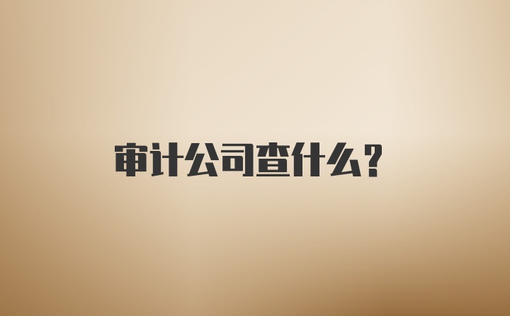 审计公司查什么？