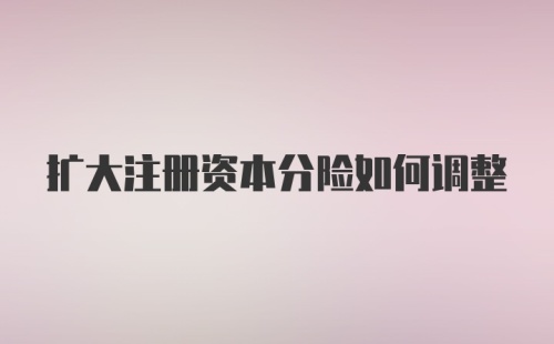 扩大注册资本分险如何调整