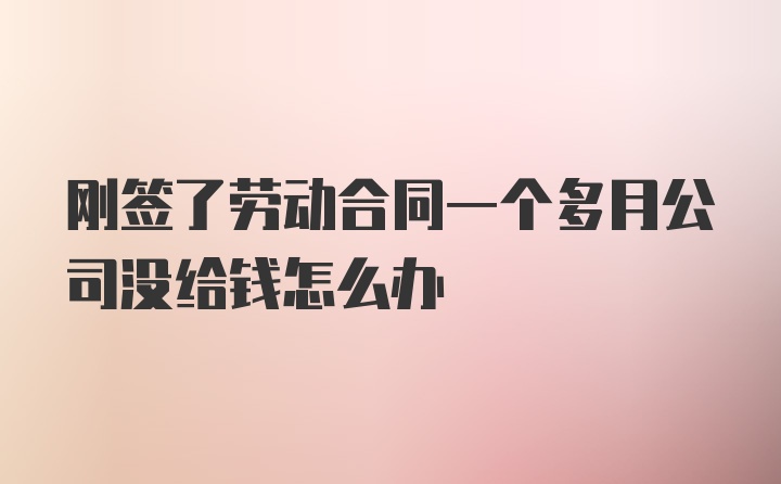 刚签了劳动合同一个多月公司没给钱怎么办