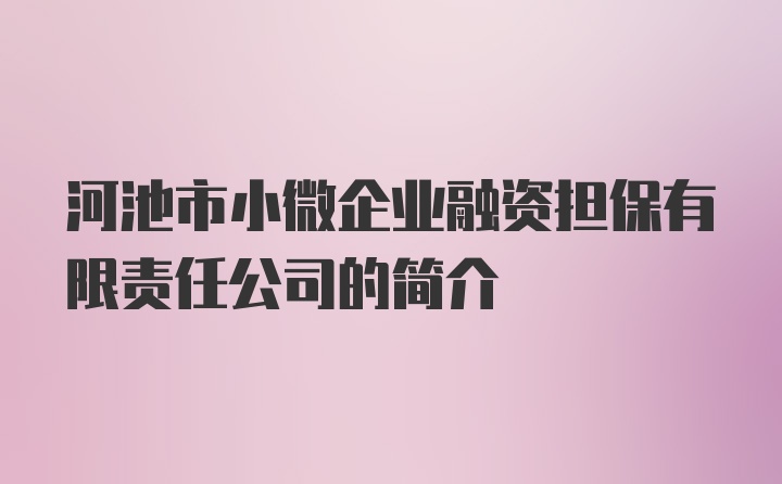 河池市小微企业融资担保有限责任公司的简介