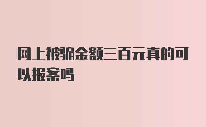 网上被骗金额三百元真的可以报案吗