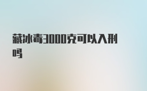 藏冰毒3000克可以入刑吗