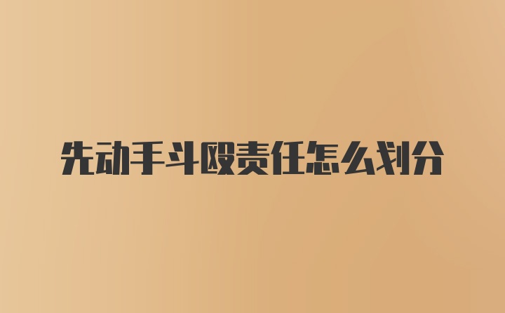 先动手斗殴责任怎么划分