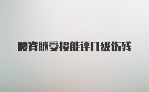 腰脊髓受损能评几级伤残