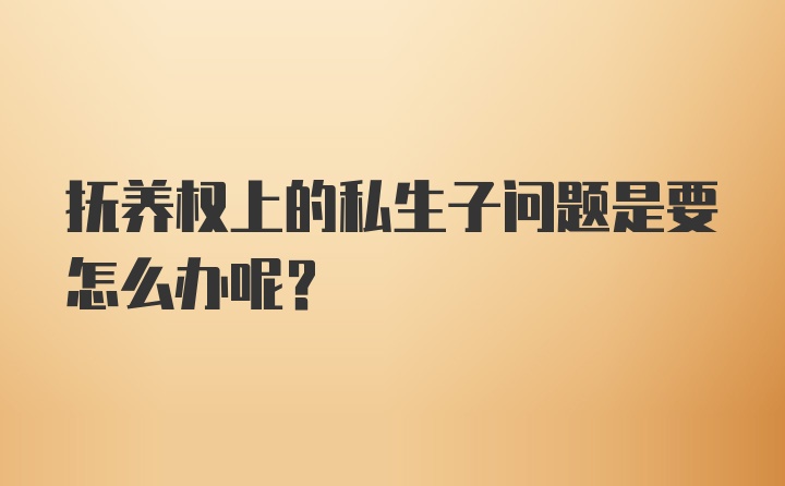 抚养权上的私生子问题是要怎么办呢?