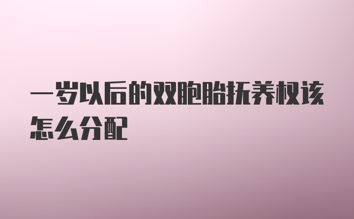 一岁以后的双胞胎抚养权该怎么分配