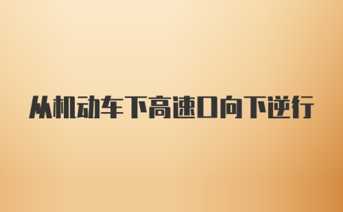 从机动车下高速口向下逆行