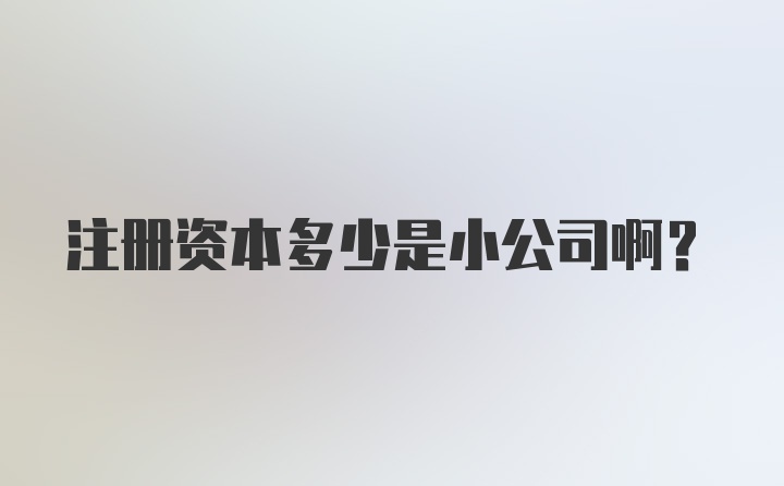 注册资本多少是小公司啊？