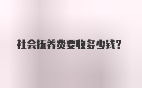 社会抚养费要收多少钱?