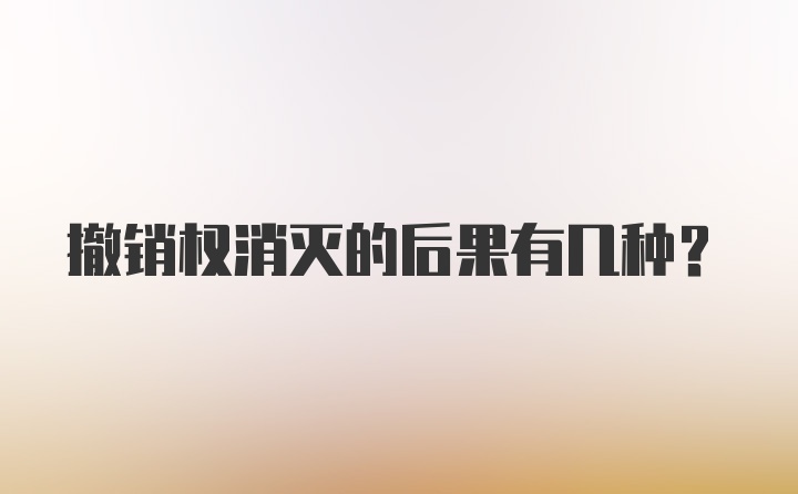 撤销权消灭的后果有几种？