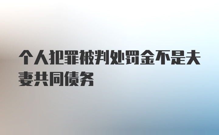 个人犯罪被判处罚金不是夫妻共同债务