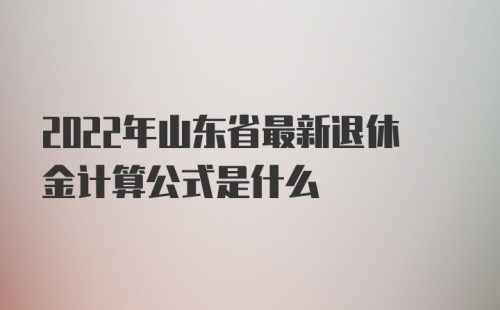 2022年山东省最新退休金计算公式是什么