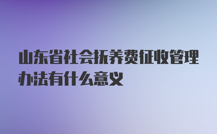 山东省社会抚养费征收管理办法有什么意义