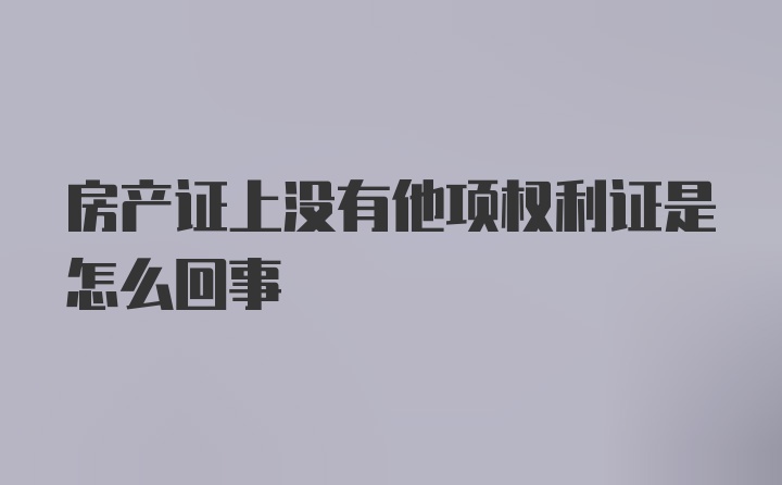 房产证上没有他项权利证是怎么回事