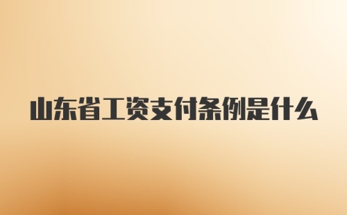 山东省工资支付条例是什么