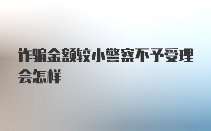 诈骗金额较小警察不予受理会怎样