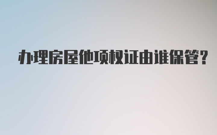 办理房屋他项权证由谁保管？