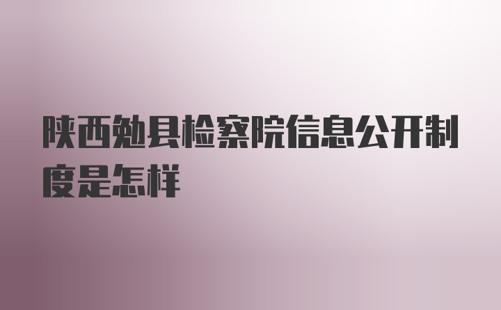 陕西勉县检察院信息公开制度是怎样