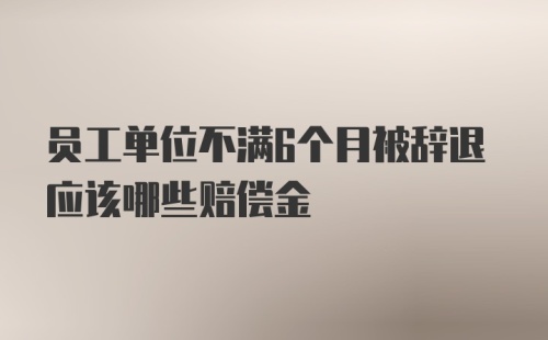 员工单位不满6个月被辞退应该哪些赔偿金