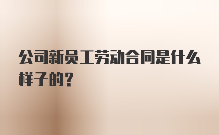 公司新员工劳动合同是什么样子的？