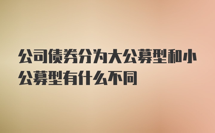 公司债券分为大公募型和小公募型有什么不同