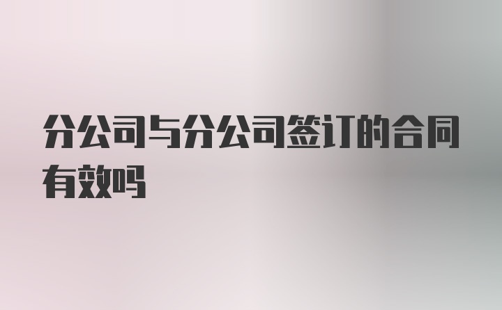 分公司与分公司签订的合同有效吗