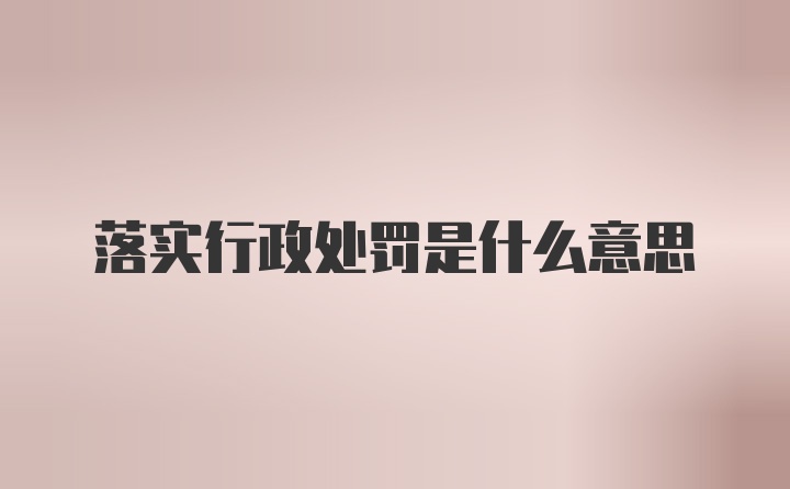 落实行政处罚是什么意思