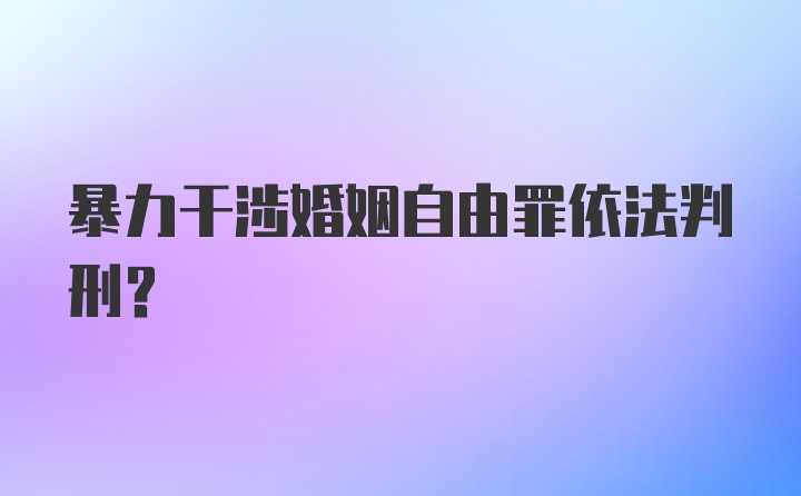 暴力干涉婚姻自由罪依法判刑？