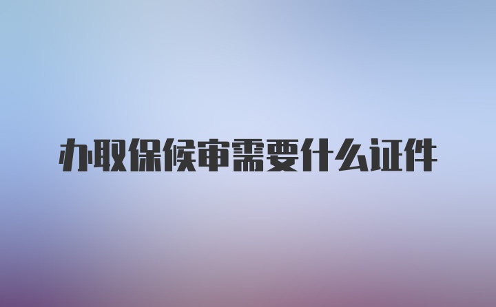 办取保候审需要什么证件