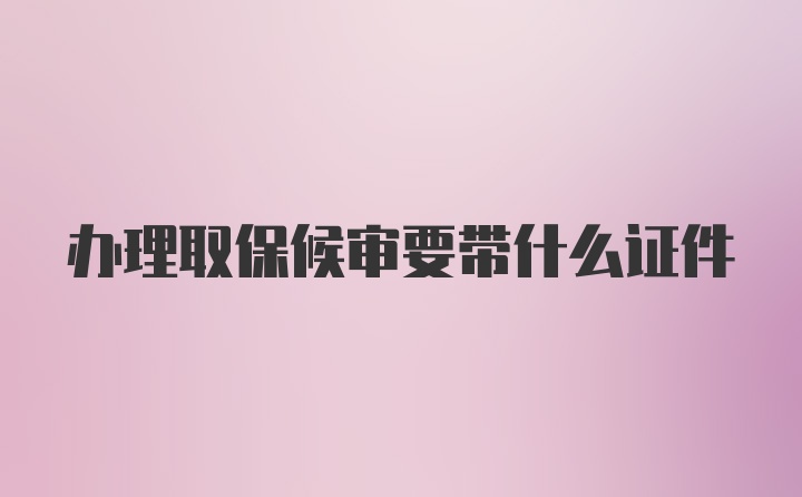 办理取保候审要带什么证件