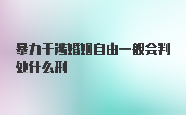 暴力干涉婚姻自由一般会判处什么刑