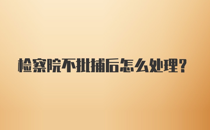 检察院不批捕后怎么处理?