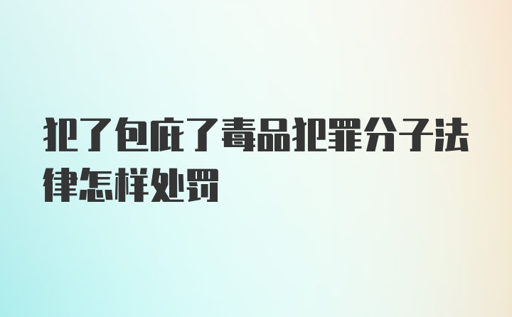 犯了包庇了毒品犯罪分子法律怎样处罚