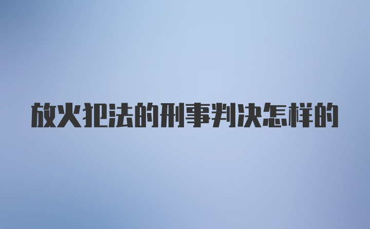 放火犯法的刑事判决怎样的