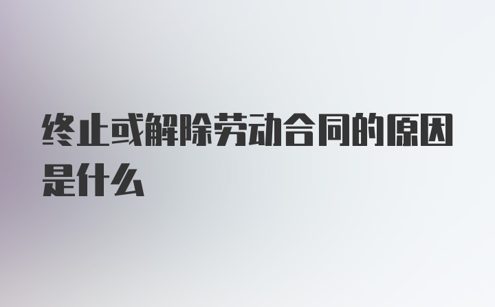 终止或解除劳动合同的原因是什么