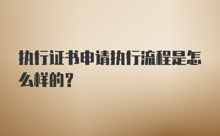 执行证书申请执行流程是怎么样的？