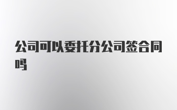公司可以委托分公司签合同吗