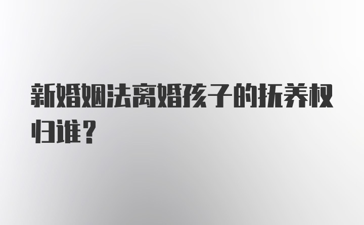 新婚姻法离婚孩子的抚养权归谁？